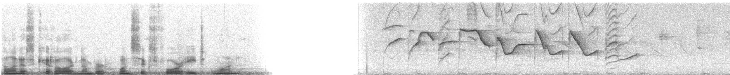 Golden-chevroned Tanager - ML16481