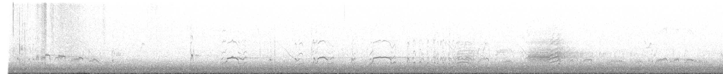 Malacorhynque à oreilles roses - ML164823911
