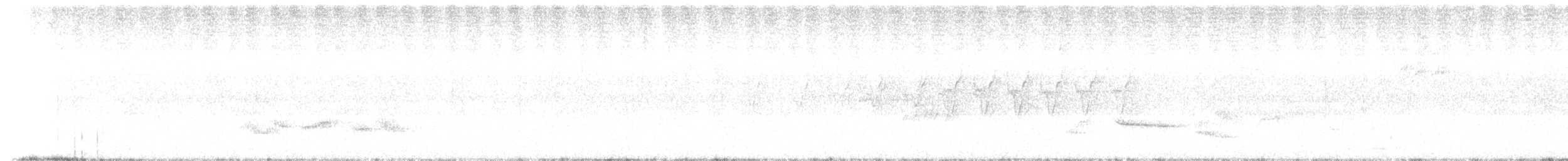 Aves sp. - ML164847511