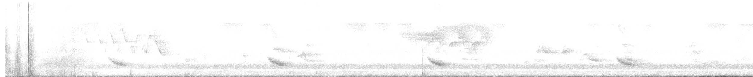 חטפית האלמון - ML164853531