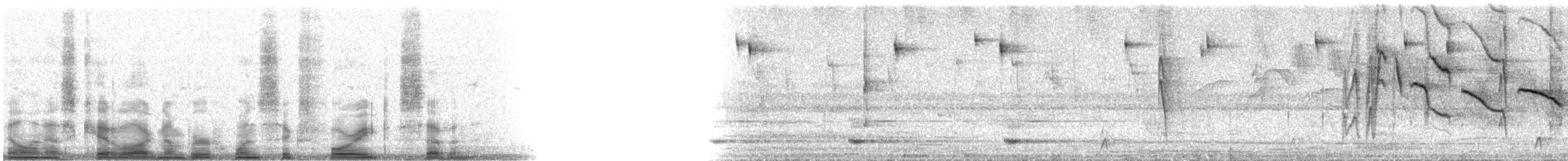 Sayaca Tanager - ML16487