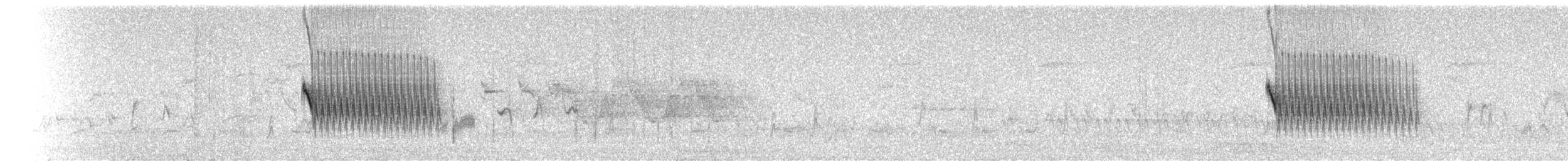 Тауї плямистий - ML164923151