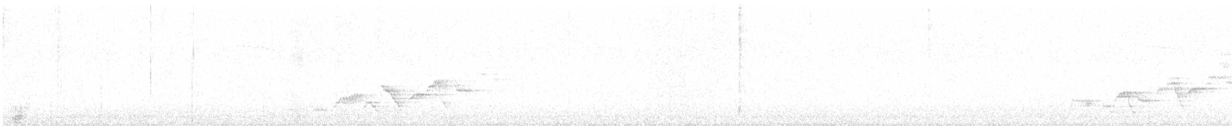 Дрізд-короткодзьоб Cвенсона - ML164923261