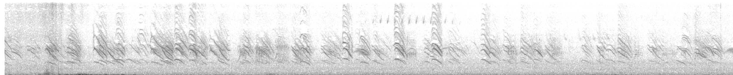 Ясківка білолоба [група pyrrhonota] - ML164947011