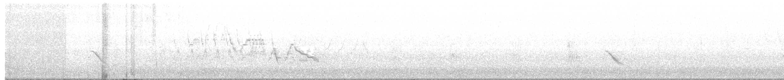 revespurv (iliaca/zaboria) (kanadarevespurv) - ML164947441