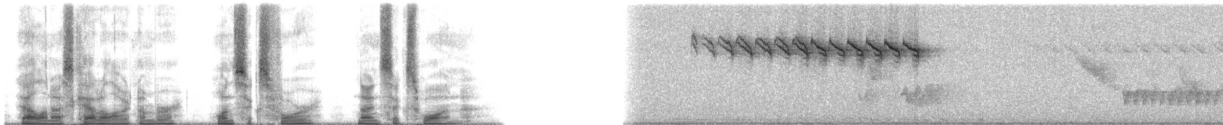 Bananaquit (Greater Antillean) - ML164961