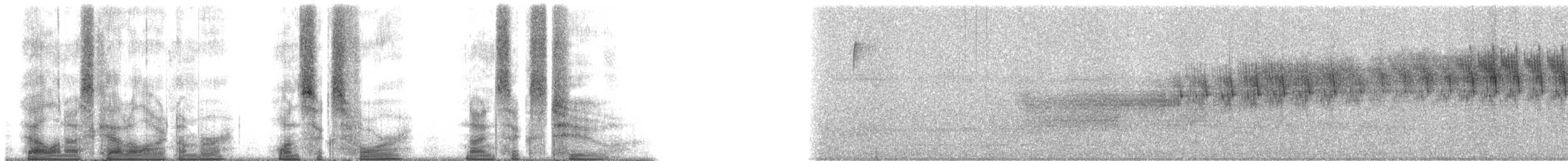 Bananaquit (Greater Antillean) - ML164962