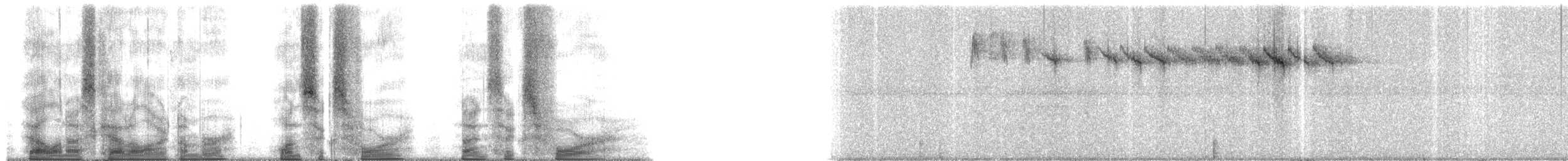 Bananaquit (Greater Antillean) - ML164964