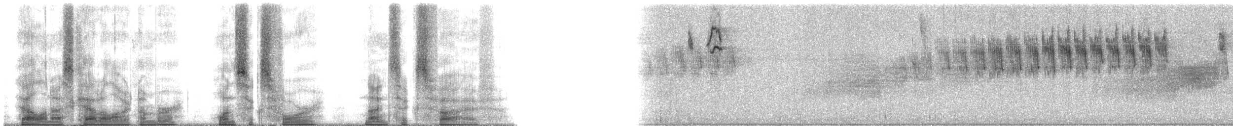 Bananaquit (Greater Antillean) - ML164965