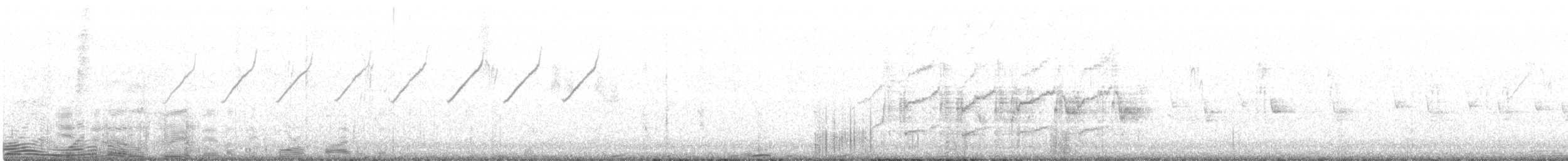 Pájaro Moscón de El Cabo - ML164967391