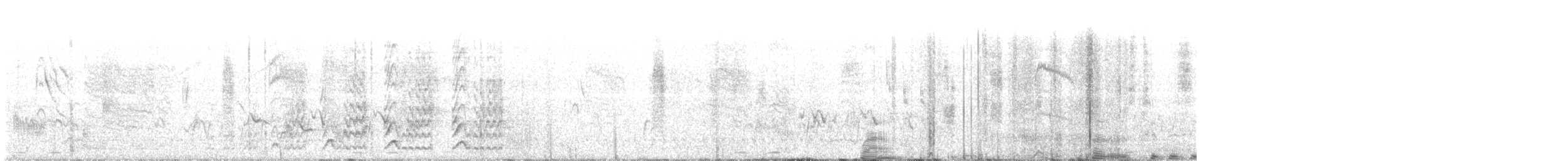 Bennett's Woodpecker (Bennett's) - ML164977711