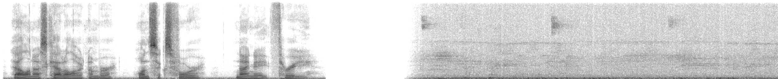 Black-billed Amazon - ML164983