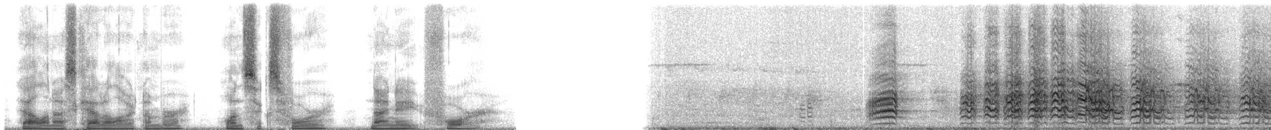 Black-billed Amazon - ML164984