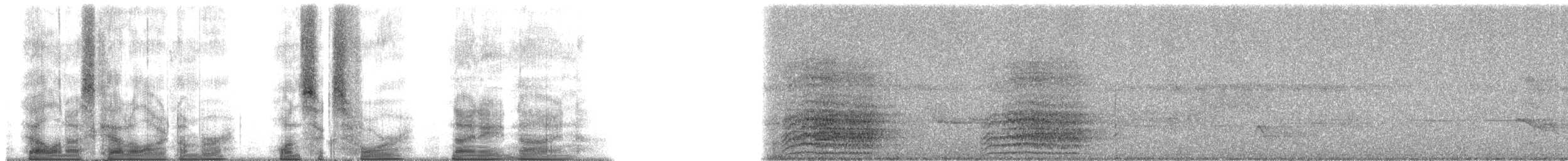 Black-billed Amazon - ML164989