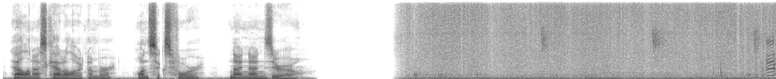 Black-billed Amazon - ML164990