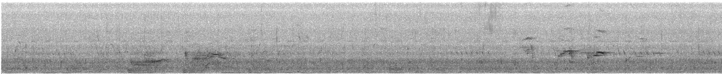 西方秧雞 - ML164991861