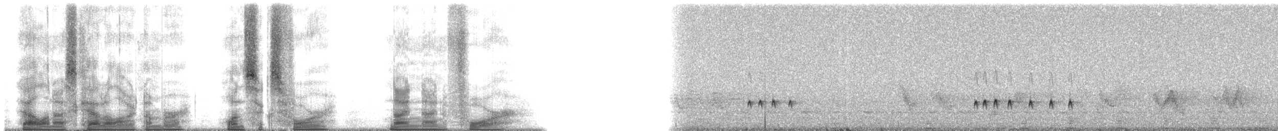 Sad Flycatcher - ML164994