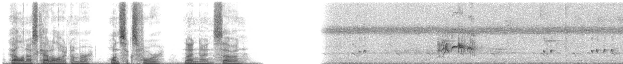 Sad Flycatcher - ML164997