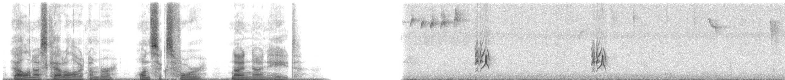 Sad Flycatcher - ML164998