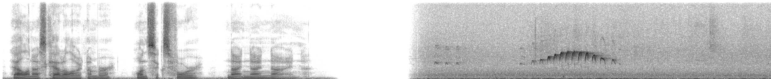 Sad Flycatcher - ML164999