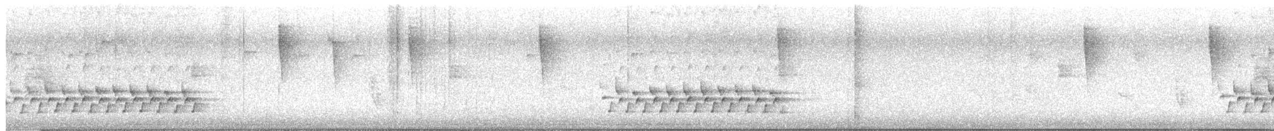 Troglodyte de Caroline - ML165003001