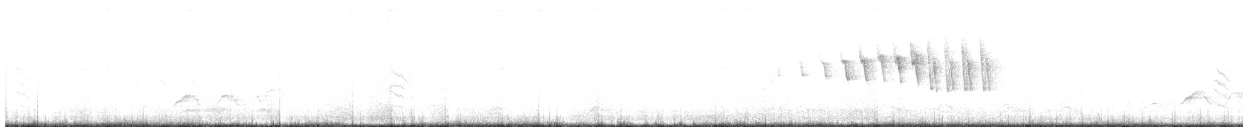 Wilson's Warbler - ML165057141