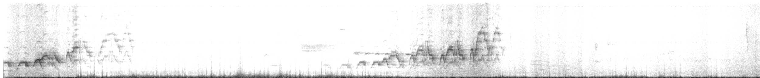 Swainson's Thrush - ML165057751