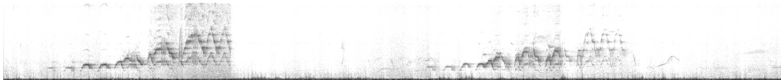 Swainson's Thrush - ML165057811