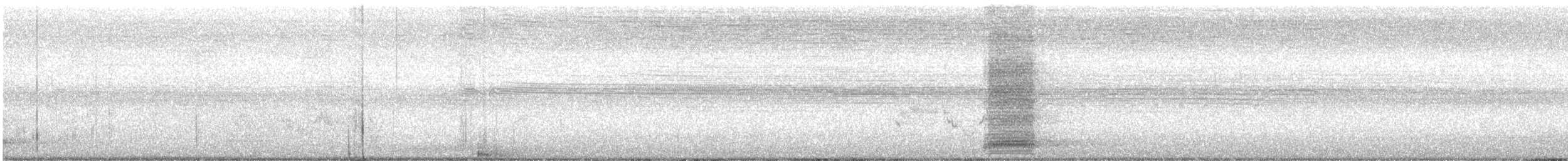Pied Crow - ML165066281
