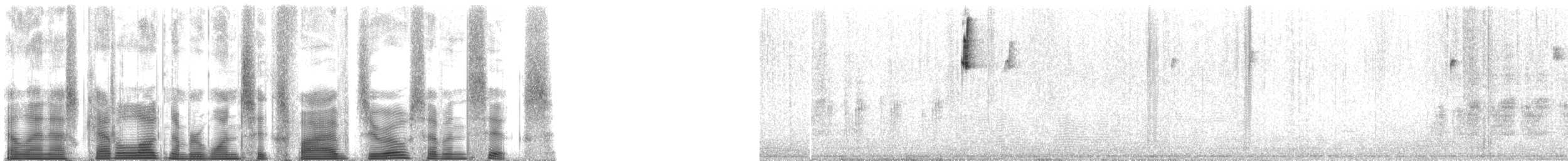 Timberline Wren - ML165076