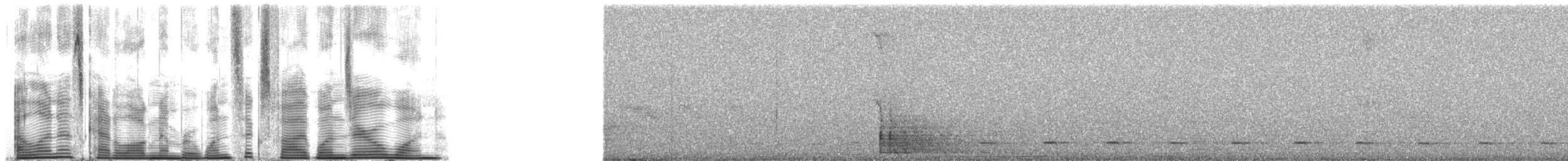 Weißmantelspecht - ML165101