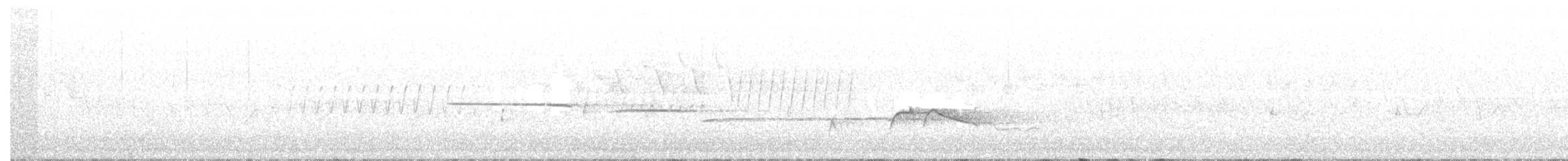 Olivflanken-Schnäppertyrann - ML165117661