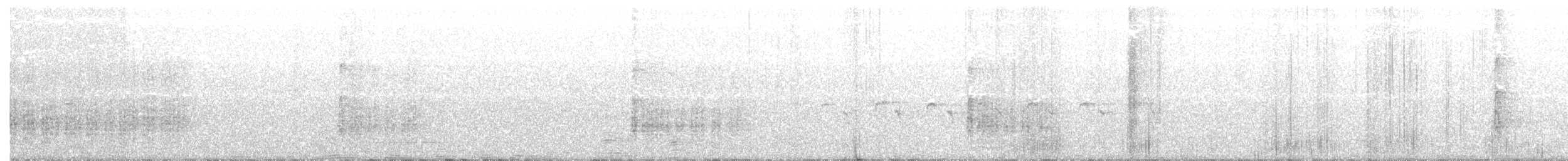 strakapoud bělokřídlý - ML165126561