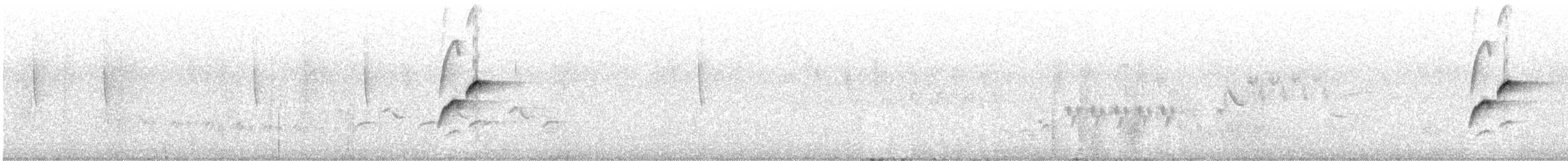 Batı Amerika Sinekkapanı (occidentalis/hellmayri) - ML165162121