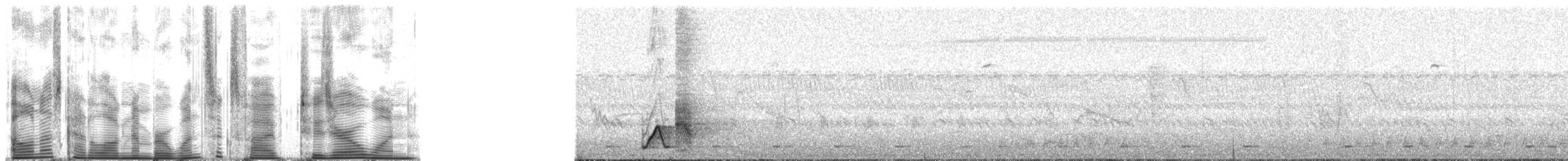 Yellow-breasted Boubou - ML165201