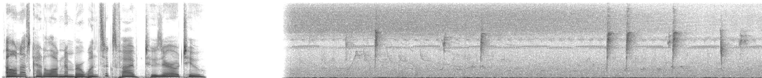 Bannerman's Weaver - ML165202