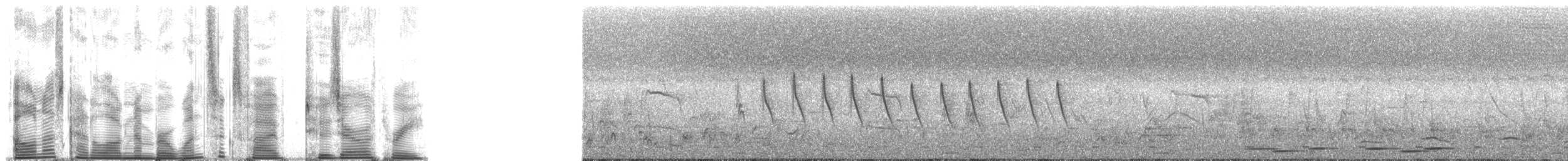 Tropical Boubou - ML165203