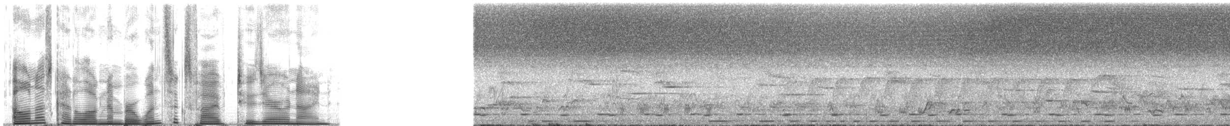 Blue-spotted Wood-Dove - ML165209