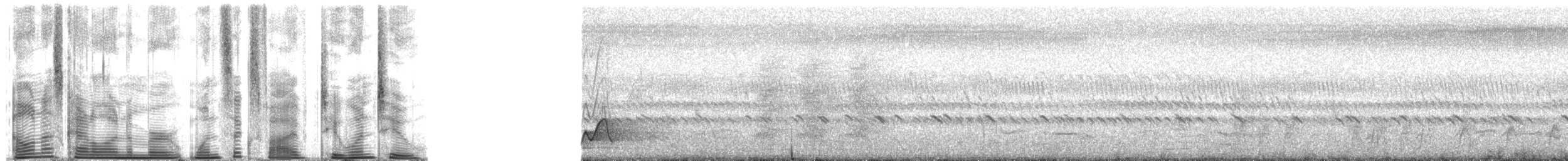 Yellow-breasted Boubou - ML165212