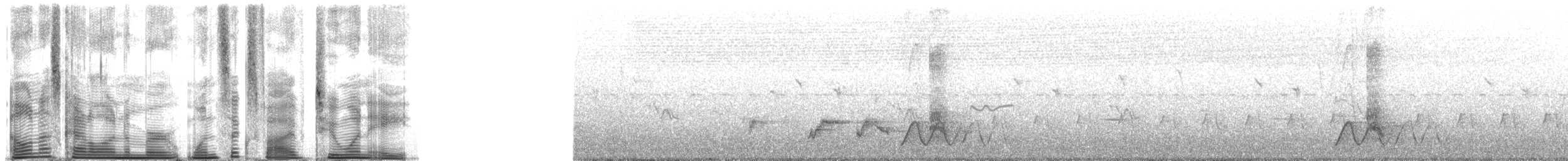 Yellow-breasted Boubou - ML165218