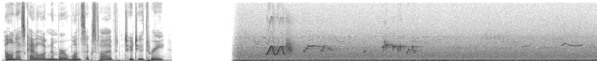 Yellow-breasted Boubou - ML165223