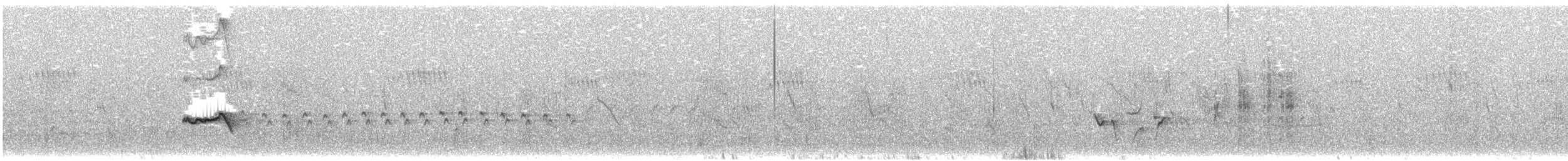Coucou oreillard - ML165232311
