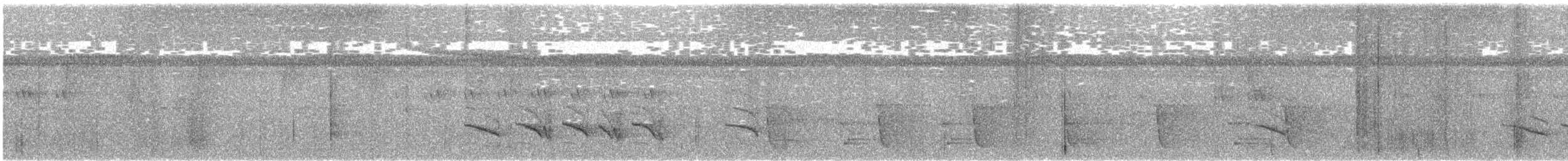 Kısa Kuyruklu Ardıçesmeri - ML165234491