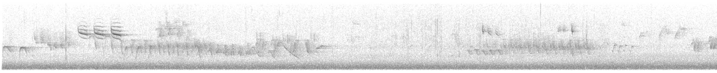 ורדית סיבירית - ML165243261