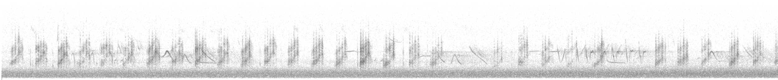 Баранець лісовий - ML165245841