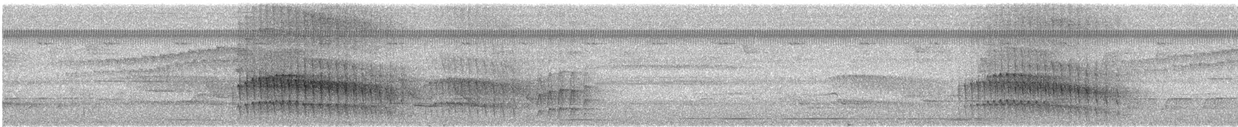 Anabate de Sclater (cervinigularis) - ML165255561