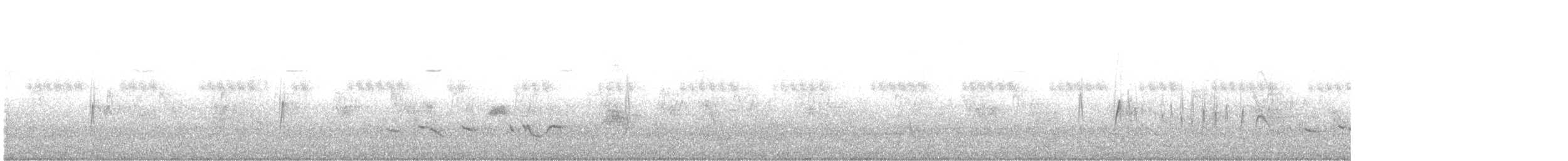 Tirano Occidental - ML165263721