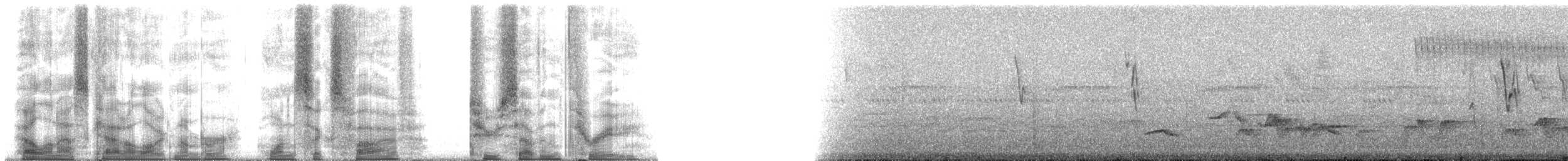 Gray-breasted Wood-Wren (Choco) - ML165273