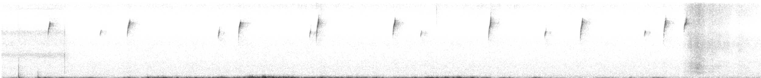 Cassin Serçesi - ML165327591