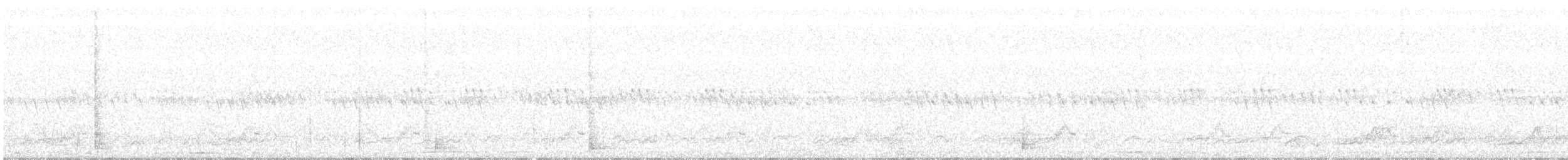 Schwarzkehl-Nachtschwalbe - ML165343991